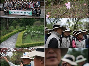 [노인일자리사업] 숲생태체험학습